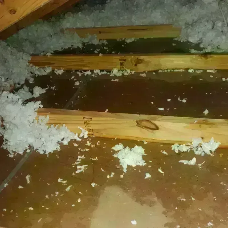 Attic Water Damage in Potter Lake, WI