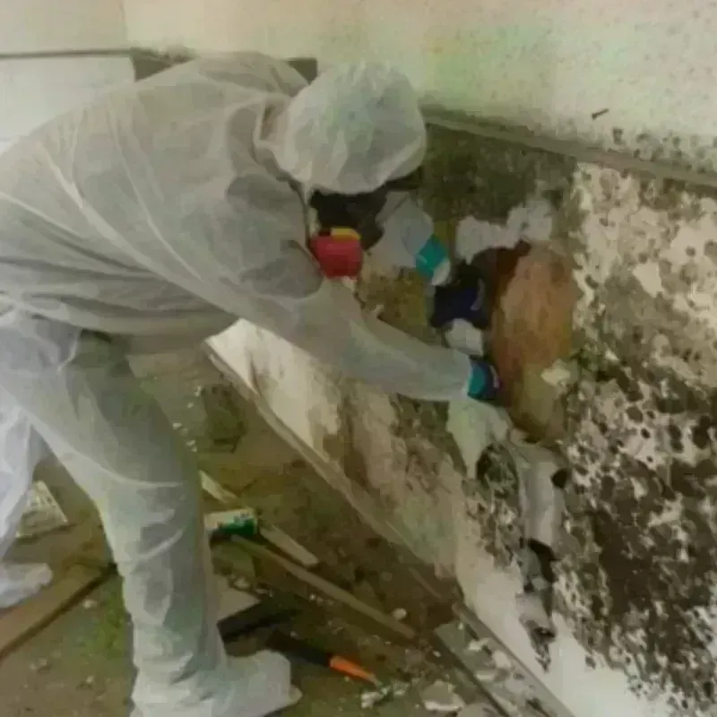 Mold Remediation and Removal in Potter Lake, WI