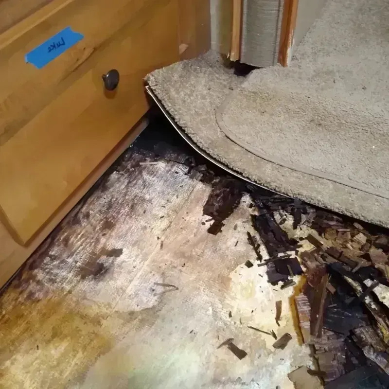 Wood Floor Water Damage in Potter Lake, WI